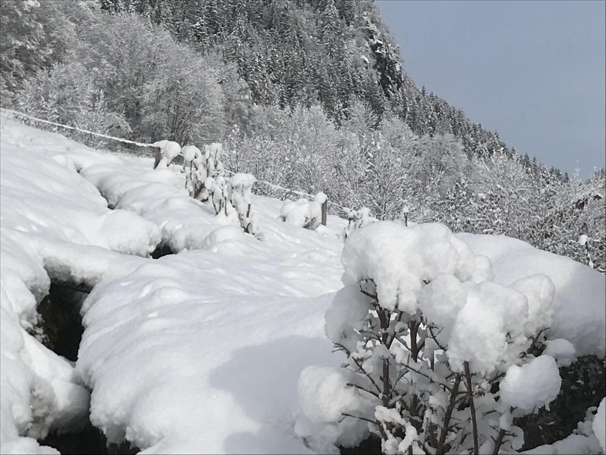 Le Blanc Nordique Villa Le Bouchet-Mont Charvin Dış mekan fotoğraf