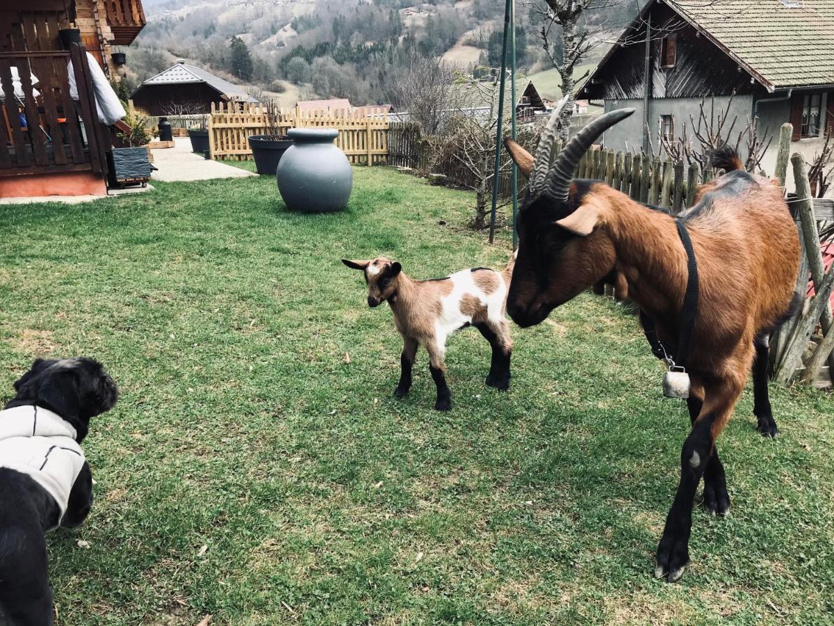 Le Blanc Nordique Villa Le Bouchet-Mont Charvin Dış mekan fotoğraf