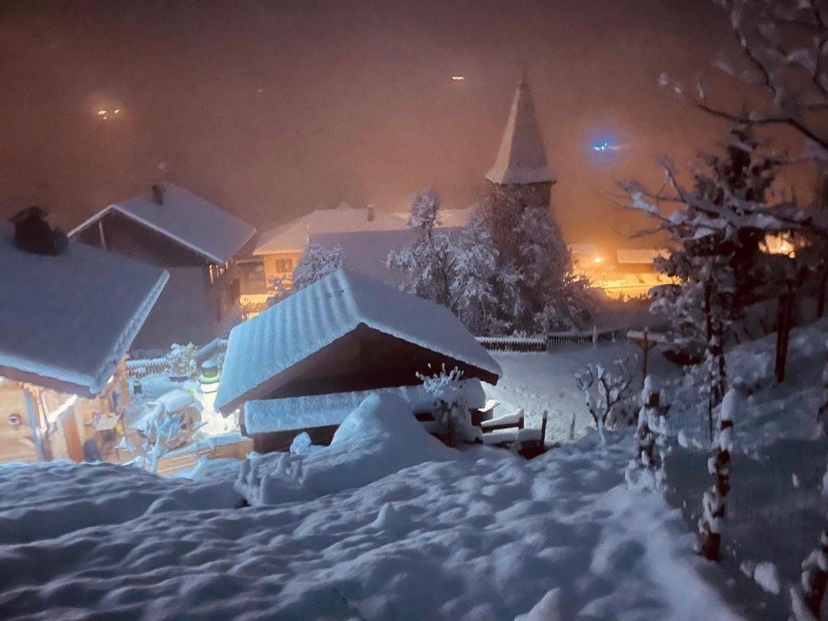 Le Blanc Nordique Villa Le Bouchet-Mont Charvin Dış mekan fotoğraf